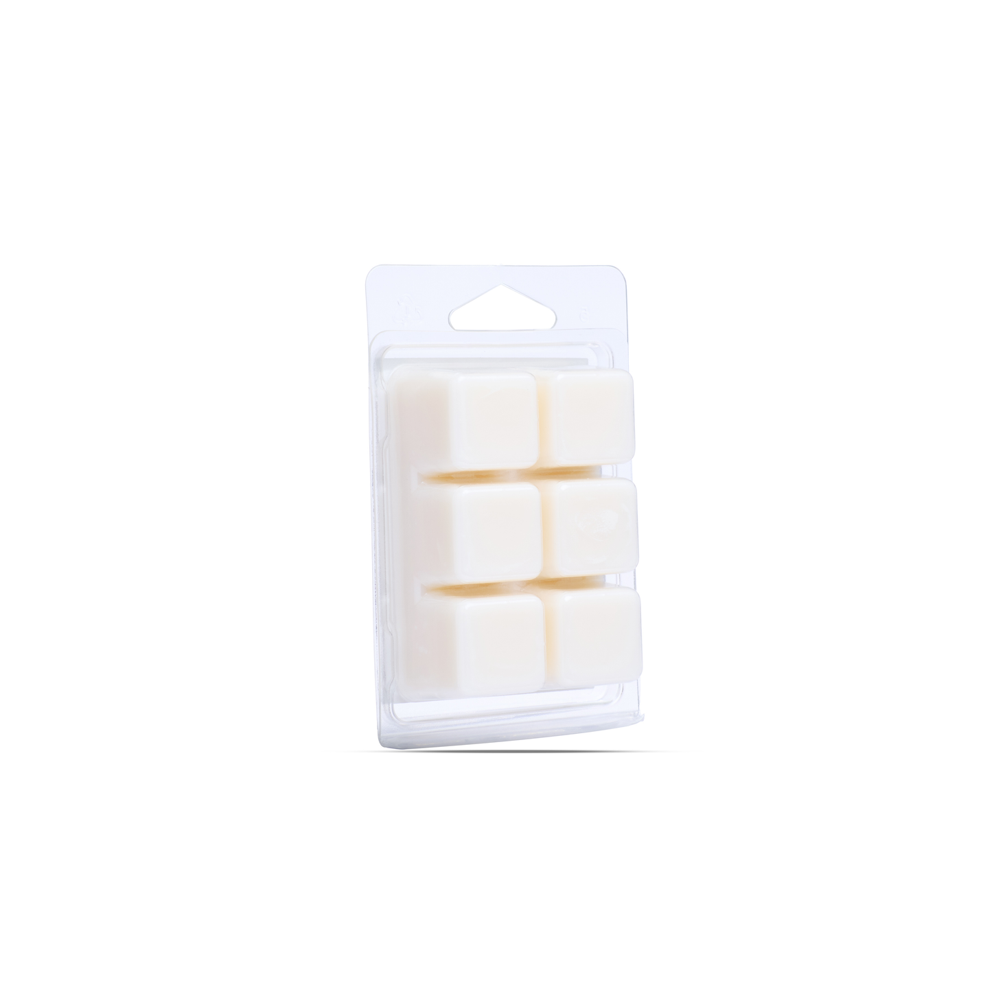 Wax Melter Set