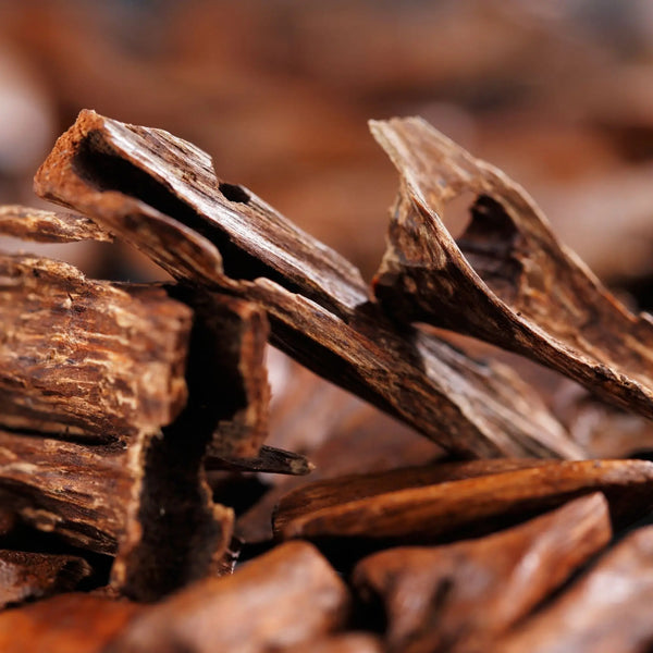 Your Wonderland of Scents and Aromas!