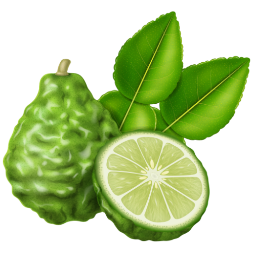 Bergamot
