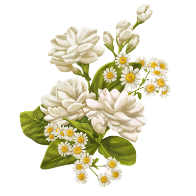Jasmin