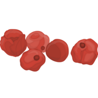 Pink Peppercorn